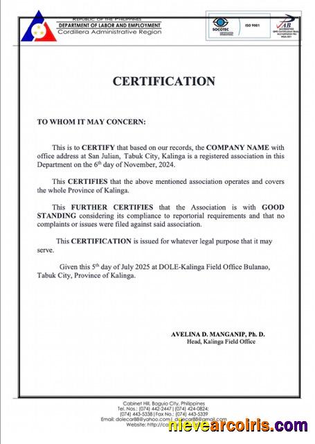 Philippines certificate of good standing